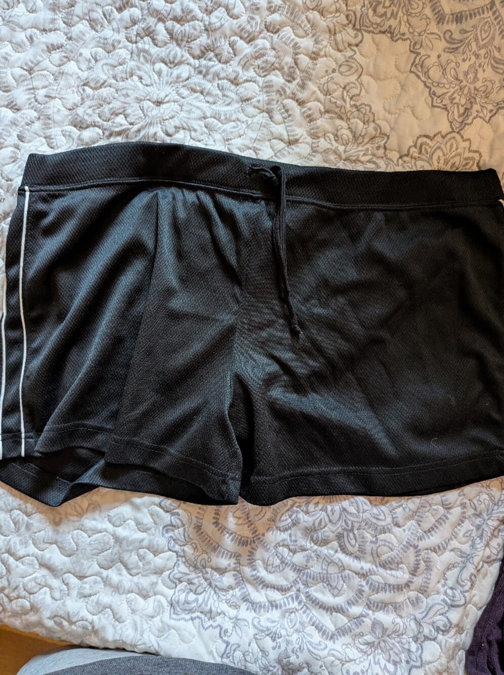 Women's Shorts